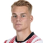 P. Lienhart profile