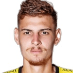 Rafael profile