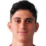 B. Lederman profile