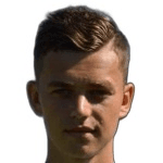 D. Horák profile