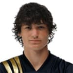 P. Aaronson profile