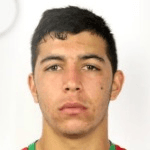 É. Lira profile