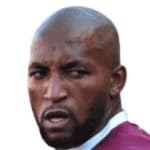 S. Mthethwa profile