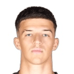 T. Muharemovic profile