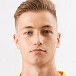 D. Večerka profile