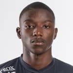 B. Diallo profile
