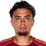 N. El Aynaoui profile