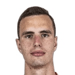 C. Twigt profile