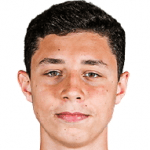 D. Dilmen profile