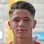 S. El-Faouzi profile