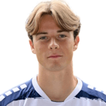C. Jander profile