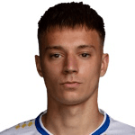 V. Brazhko profile