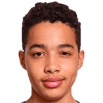 B. Elliott profile