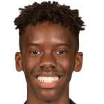 Harvey Araujo profile
