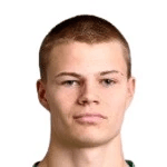 D. Ingvarsson profile