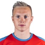 D. Hafsteinsson profile
