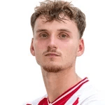 R. van den Berg profile