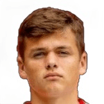 D. Visinský profile