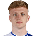 C. Taylor profile