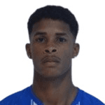 Gebson profile