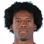 G. Wijnaldum profile