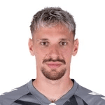 I. Radu profile