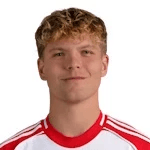 A. Schäfer profile