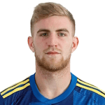 N. Valentini profile