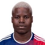 B. Kamungo profile