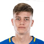 Z. Gruber profile