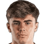 D. Robinson profile