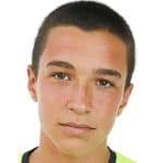 P. Andreev profile