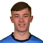 A. Nolan profile