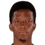 R. King profile