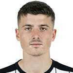 S. Telalović profile