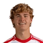 T. Rothe profile