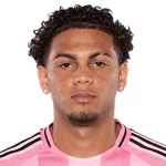 D. Ruíz profile