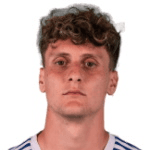 G. Piccinini profile
