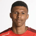 K. Sow profile