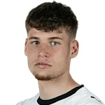 L. Ullrich profile