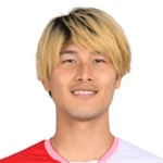 D. Hashioka profile