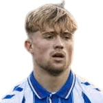 D. Watson profile