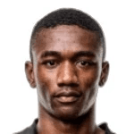 D. Castillo profile