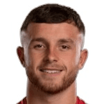 D. Taylor profile