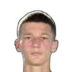 S. Džodić profile