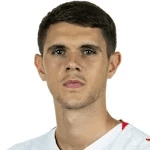 K. Nedeljković profile