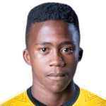 M. Shabalala profile