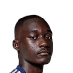 Y. Mouanga profile