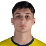 A. Ferrari profile