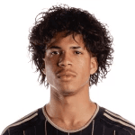 D. Martínez profile
